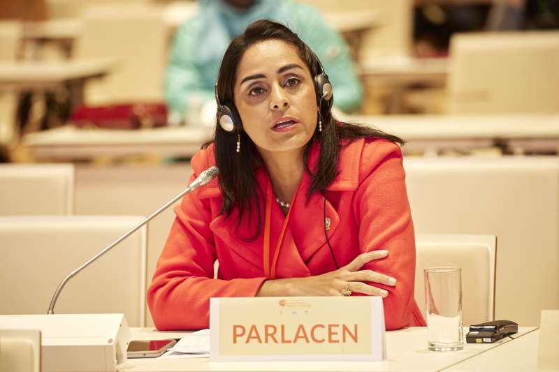 Fanny Carolina  Salinas Fernández, President of PARLACEN - PARLACEN - Session 1: Women in the pandemic: A tribute to everyday heroes - Motion 3