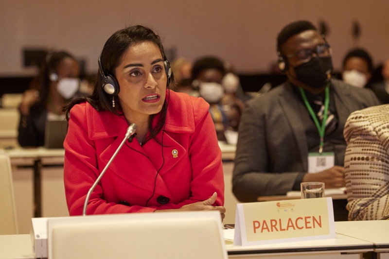 Special Remarks by Mr. Abdulla Shadid, President-Elect of the 76th UN General Assembly  - Session 2: Women in the post-pandemic recovery: Preserving achievements, furthering progress