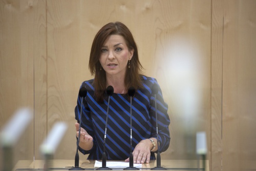 Am Rednerpult: Nationalratsabgeordnete Ewa Ernst-Dziedzic (GRÜNE)