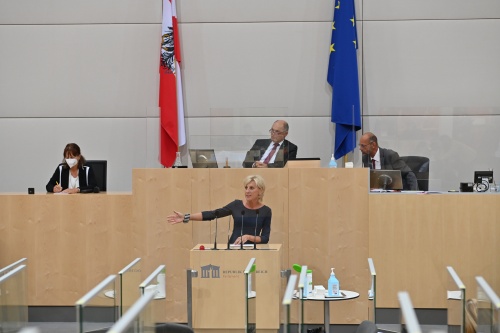 Am Rednerpult: Nationalratsabgeordnete Gabriela Schwarz (ÖVP)