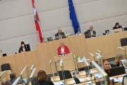 Am Rednerpult: Nationalratsabgeordnete Karin Greiner (SPÖ)