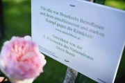 Zweite Nationalratspräsidentin Doris Bures (SPÖ) widmet einen Rosenstock im Volksgarten den von Brustkrebs betroffenen Frauen