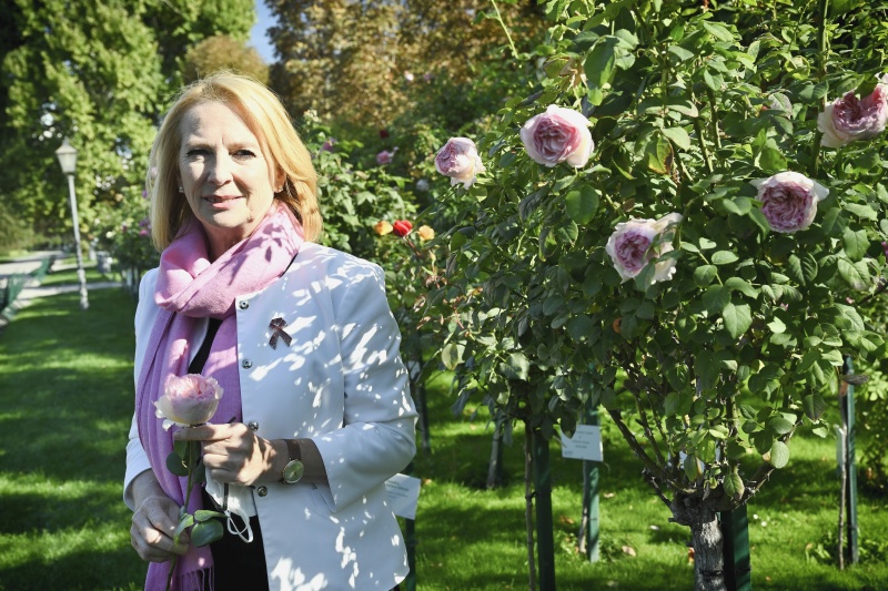 Zweite Nationalratspräsidentin Doris Bures (SPÖ) widmet einen Rosenstock im Volksgarten den von Brustkrebs betroffenen Frauen