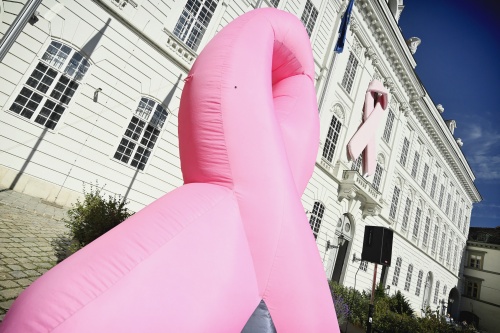 Pink Ribbon am Josefsplatz
