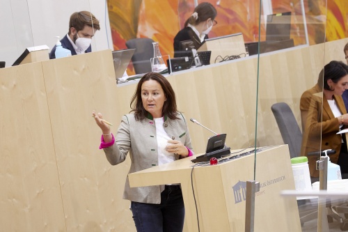 Am Rednerpult Nationalratsabgeordnete Cornelia Ecker (SPÖ)
