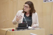 Am Rednerpult Nationalratsabgeordnete Melanie Erasim (SPÖ)