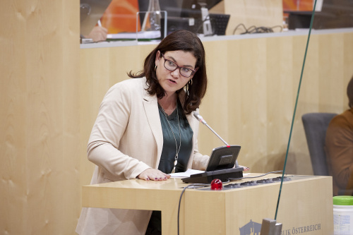 Am Rednerpult Nationalratsabgeordnete Melanie Erasim (SPÖ)