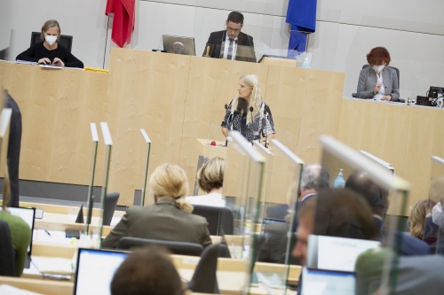 Am Rednerpult:  Bundesrätin Elisabeth Grossmann (SPÖ)