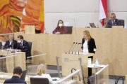 Am Rednerpult Nationalratsabgeordnete Dagmar Belakowitsch (FPÖ)
