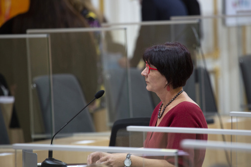 Bundesrätin Andrea Kahofer (SPÖ) am Rednerpult