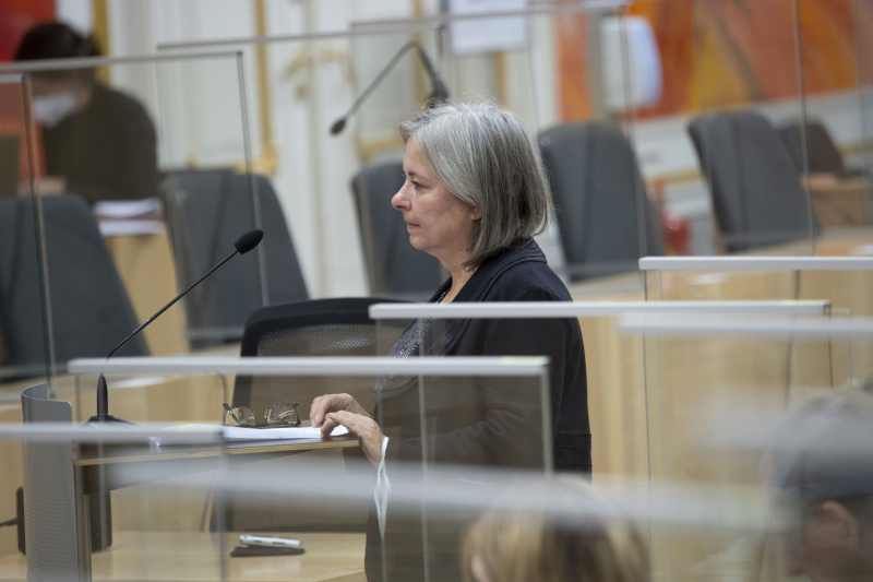 Bundesrätin Bettina Lancaster (SPÖ) bringt eine Frage ein