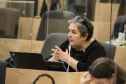 Fragen der Abgeordneten an die Experten: Nationalratsabgeordnete Eva Blimlinger (GRÜNE)