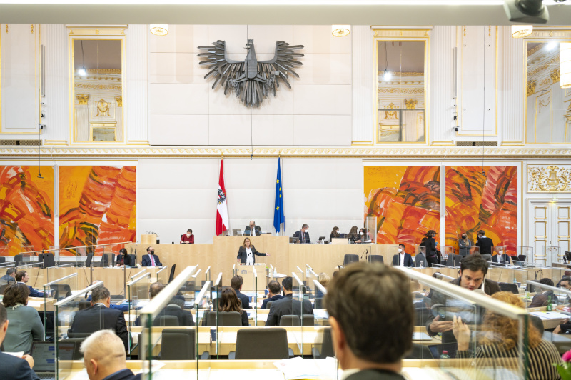 Begründung des Dringlichen Antrags durch Nationalratsabgeordnete Dagmar Belakowitsch. Blick Richtung SitzungsteilnehmerInnen