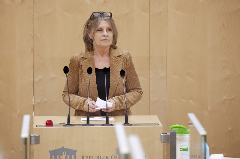 Am Rednerpult Nationalratsabgeordnete Andrea Kuntzl (SPÖ)