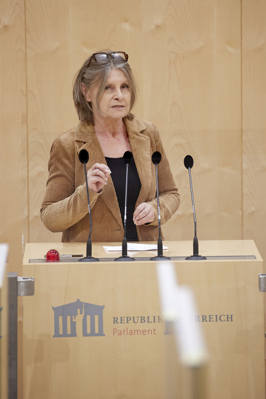 Am Rednerpult Nationalratsabgeordnete Andrea Kuntzl (SPÖ)