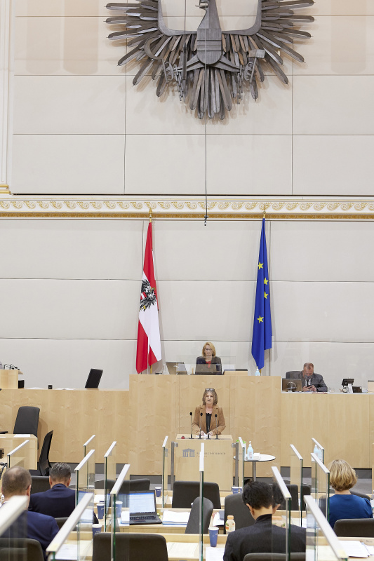 Am Rednerpult Nationalratsabgeordnete Andrea Kuntzl (SPÖ)