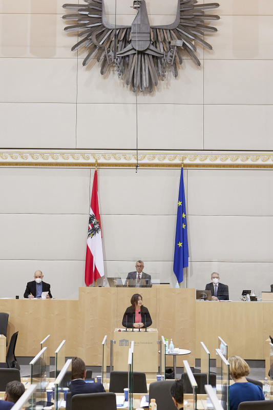 Am Rednerpult Nationalratsabgeordnete Agnes Totter (ÖVP)