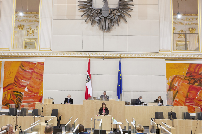 Am Rednerpult Nationalratsabgeordnete Agnes Totter (ÖVP)