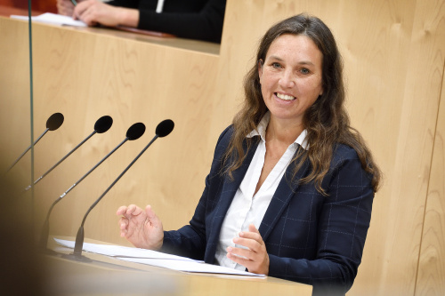 Nationalratsabgeordnete Ulrike Fischer (GRÜNE) am Wort