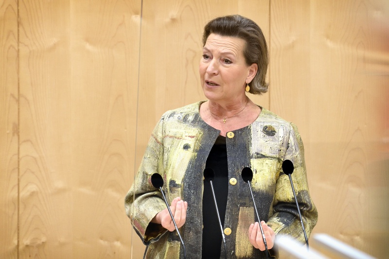 Nationalratsabgeordnete Gabriele Heinisch-Hosek (SPÖ) am Wort