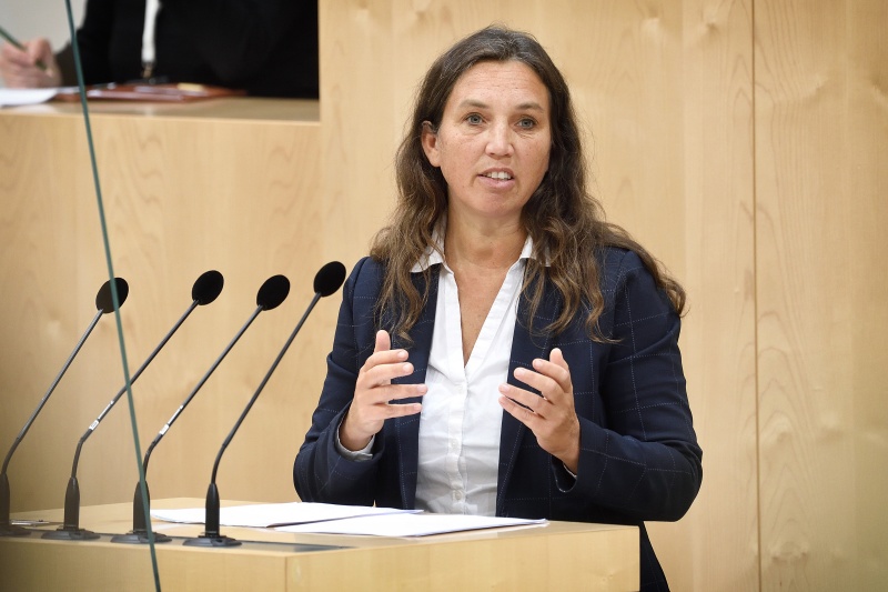 Nationalratsabgeordnete Ulrike Fischer (GRÜNE) am Wort