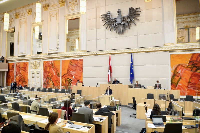 Nationalratsabgeordnete Katharina Werner (NEOS) am Wort