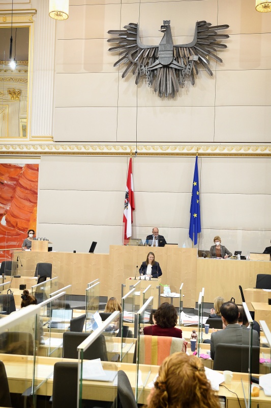 Nationalratsabgeordnete Katharina Werner (NEOS) am Wort