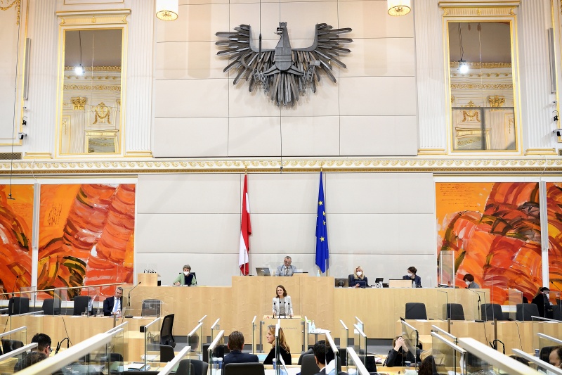 Nationalratsabgeordnete Corinna Scharzenberger (ÖVP) am Wort