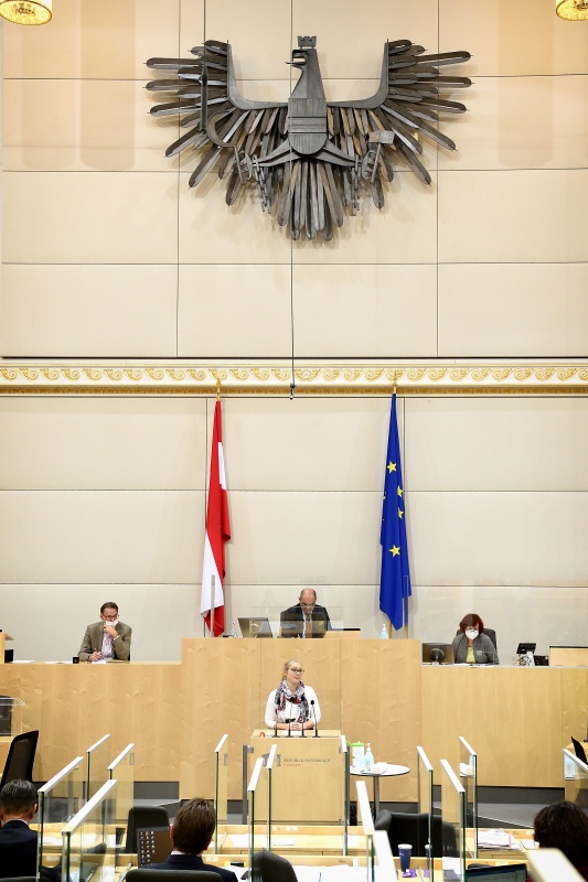 Nationalratsabgeordnete Eva-Maria Himmelbauer (ÖVP) am Wort