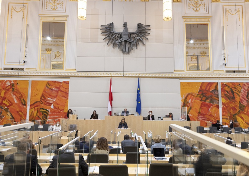 Nationalratsabgeordnete Meri Disoski (GRÜNE) am Rednerpult