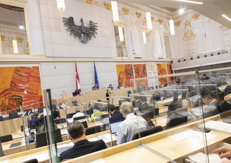 Blick in den Sitzungssaal. Nationalratsabgeordnete Henrike Brandstötter (NEOS) am Rednerpult