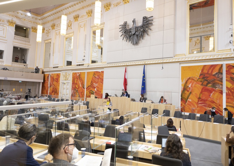 Blick in den Sitzungssaal. Nationalratsabgeordnete Claudia Plakolm (ÖVP) am Rednerpult