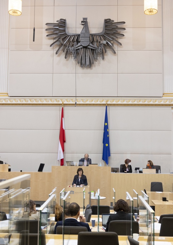 Nationalratsabgeordnete Rosa Ecker (FPÖ) am Rednerpult
