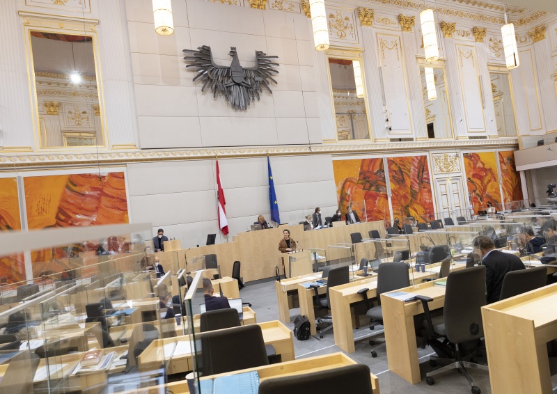 Nationalratsabgeordnete Gabriele Heinisch-Hosek (SPÖ) am Rednerpult