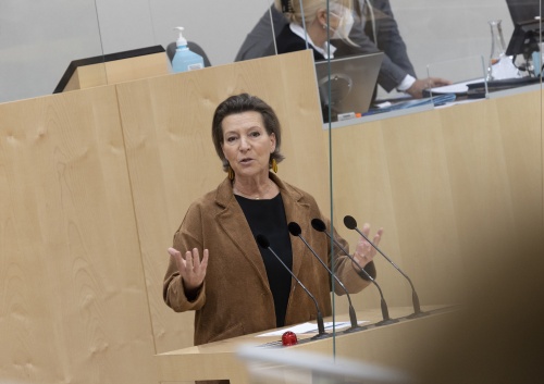 Nationalratsabgeordnete Gabriele Heinisch-Hosek (SPÖ) am Rednerpult