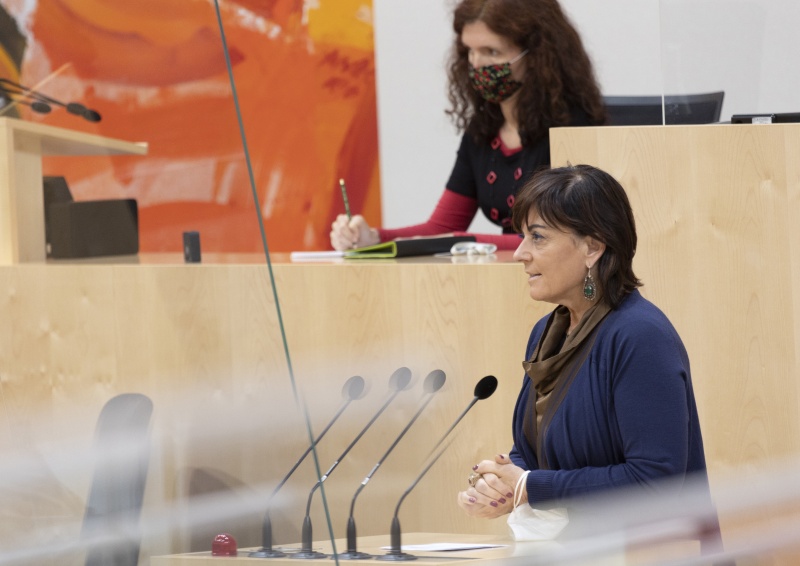 Nationalratsabgeordnete Petra Oberrauner (SPÖ) am Rednerpult