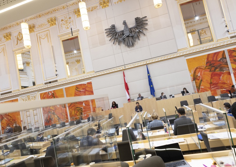 Nationalratsabgeordnete Petra Oberrauner (SPÖ) am Rednerpult