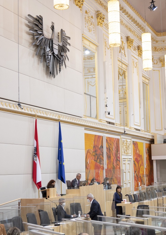 Nationalratsabgeordnete Petra Oberrauner (SPÖ) am Rednerpult