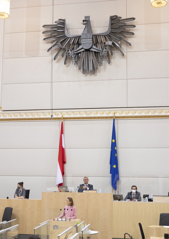 Nationalratsabgeordnete Maria Theresia Niss (ÖVP) am Rednerpult