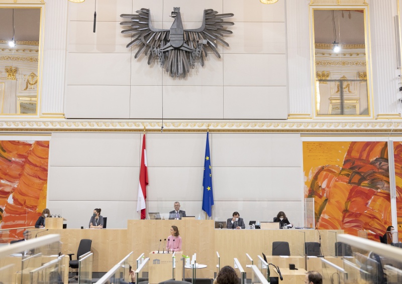 Nationalratsabgeordnete Maria Theresia Niss (ÖVP) am Rednerpult