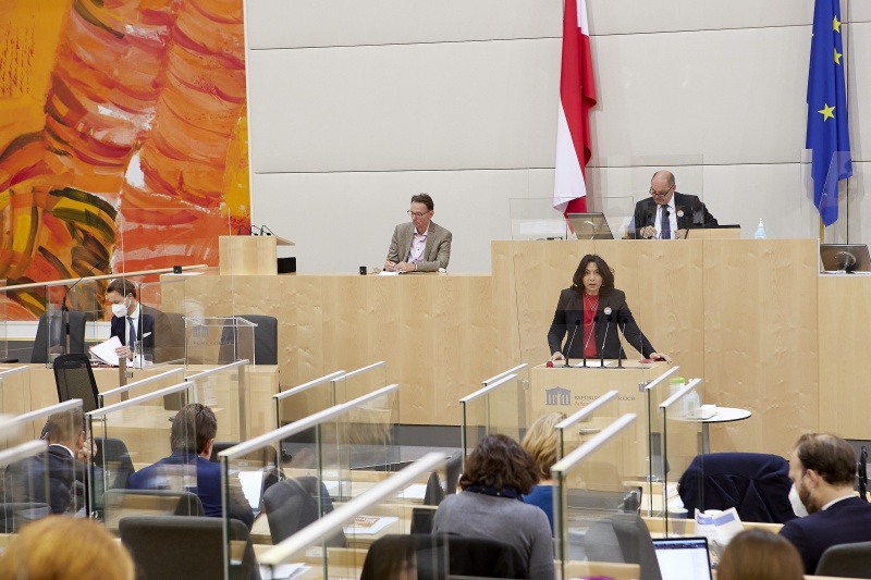 Am Rednerpult Nationalratsabgeordnete Selma Yildirim (SPÖ)