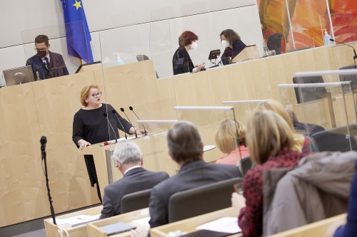 Am Rednerpult Anfrage durch die Vorsitzende der Bundesratsfraktion Korinna Schumann (SPÖ)