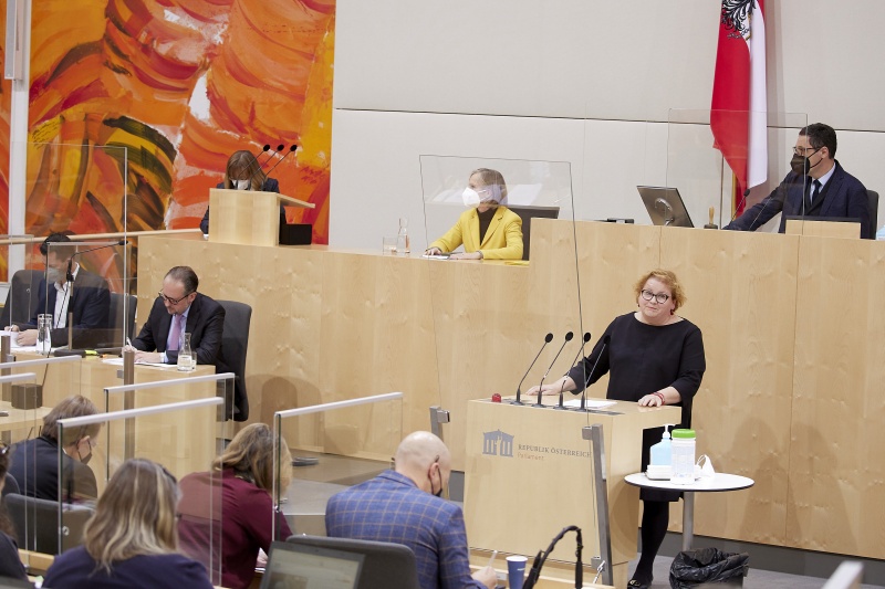 Am Rednerpult Vorsitzende der Bundesratsfraktion Korinna Schumann (SPÖ)