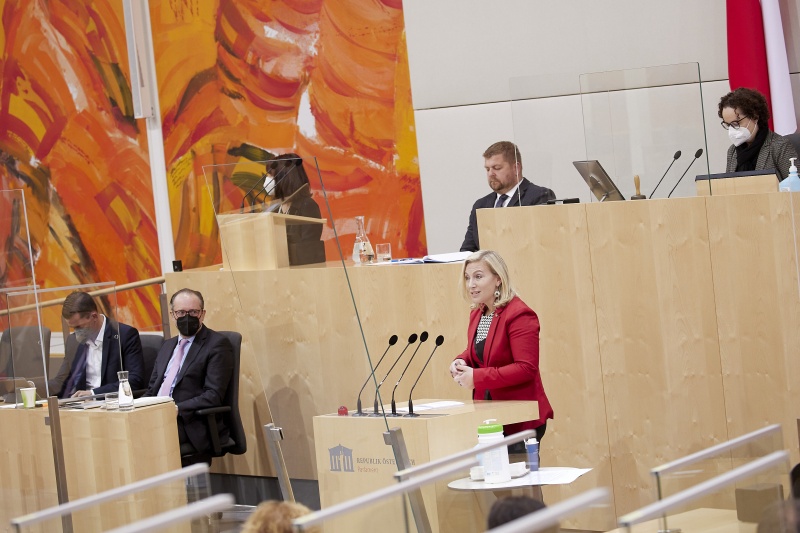Am Rednerpult Bundesrätin Doris Hahn (SPÖ)