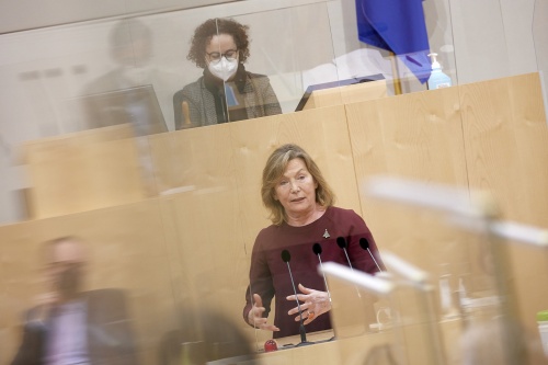 Am Rednerpult Bundesrätin Sonja Zwazl (ÖVP)