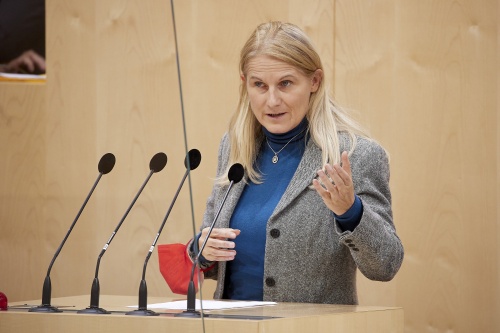 Am Rednerpult Bundesrätin Elisabeth Grossmannn (SPÖ)