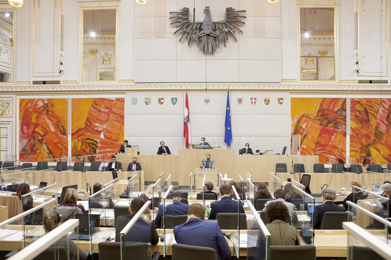 Am Rednerpult Bundesrätin Elisabeth Grossmannn (SPÖ)