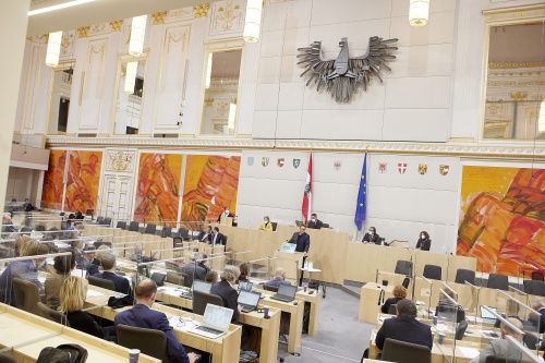 Am Rednerpult Vorsitzender der Bundesratsfraktion Christoph Steiner (FPÖ)