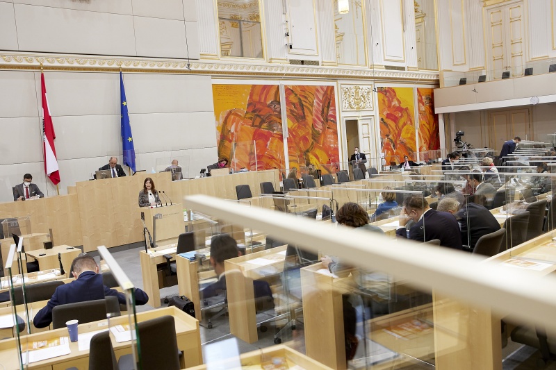 Am Rednerpult Nationalratsabgeordnete Angela Baumgartner (ÖVP)