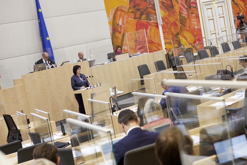 Am Rednerpult Nationalratsabgeordnete Rosa Ecker (FPÖ)